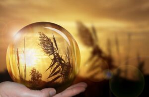 Harmonisation habitat